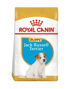 Royal Canin Jack Russell Puppy X 3 Kg.