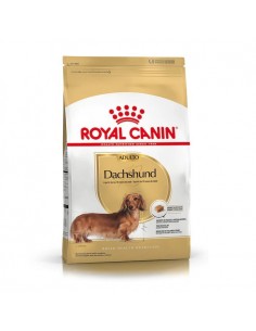 Royal Canin Dachshund Adulto X 3 Kg.