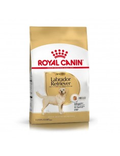 Royal Canin Labrador Retriver Adulto X 12 Kg.