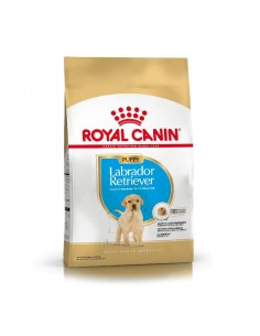 Royal Canin Labrador Retriver Junior X 12 Kg.