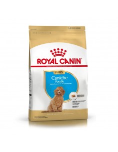 Royal Canin Poodle Junior X 1 Kg.