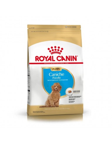 Royal Canin Poodle Junior X 1 Kg.