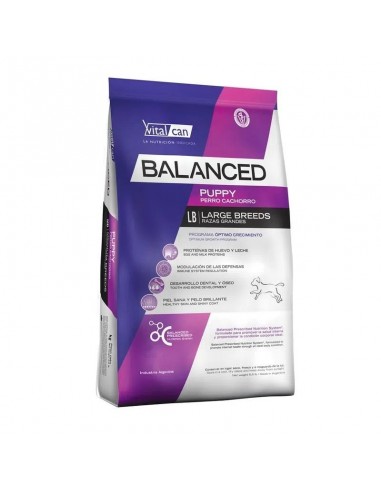 Balanced Perro Cachorro Rg X 15 Kg.