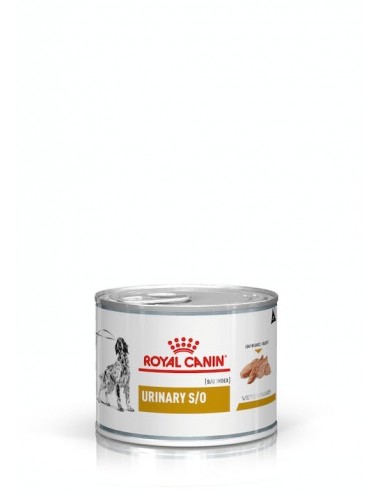 Royal Canin S/o Canine Wet Lata