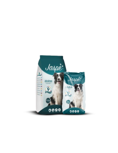 Jaspe Adulto 20kg + 30% Off Jaspe Adulto 8kg