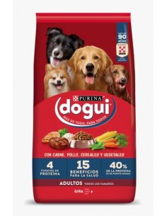 Dogui Adulto X 21 Kg