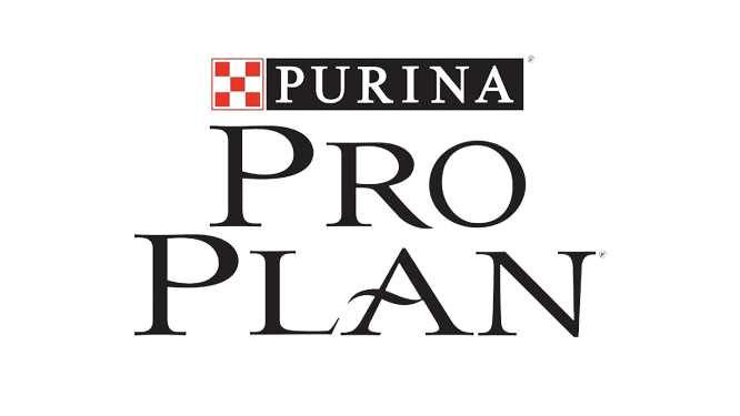 Pro Plan