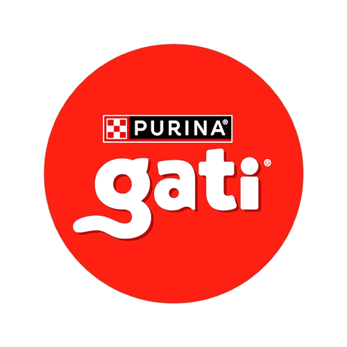 Gati